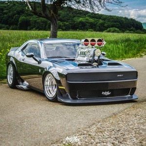 Meet your Posher, Walter